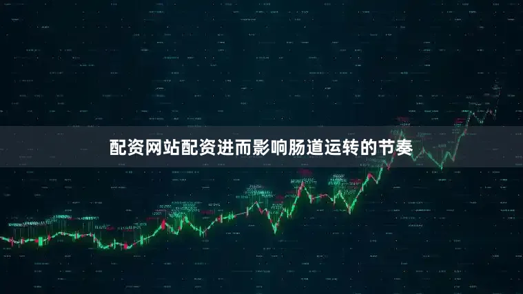 配资网站配资进而影响肠道运转的节奏