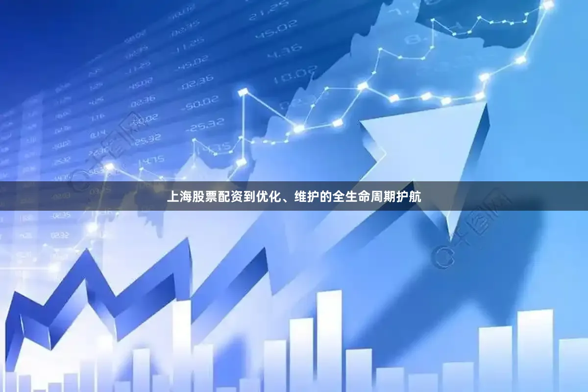 上海股票配资到优化、维护的全生命周期护航